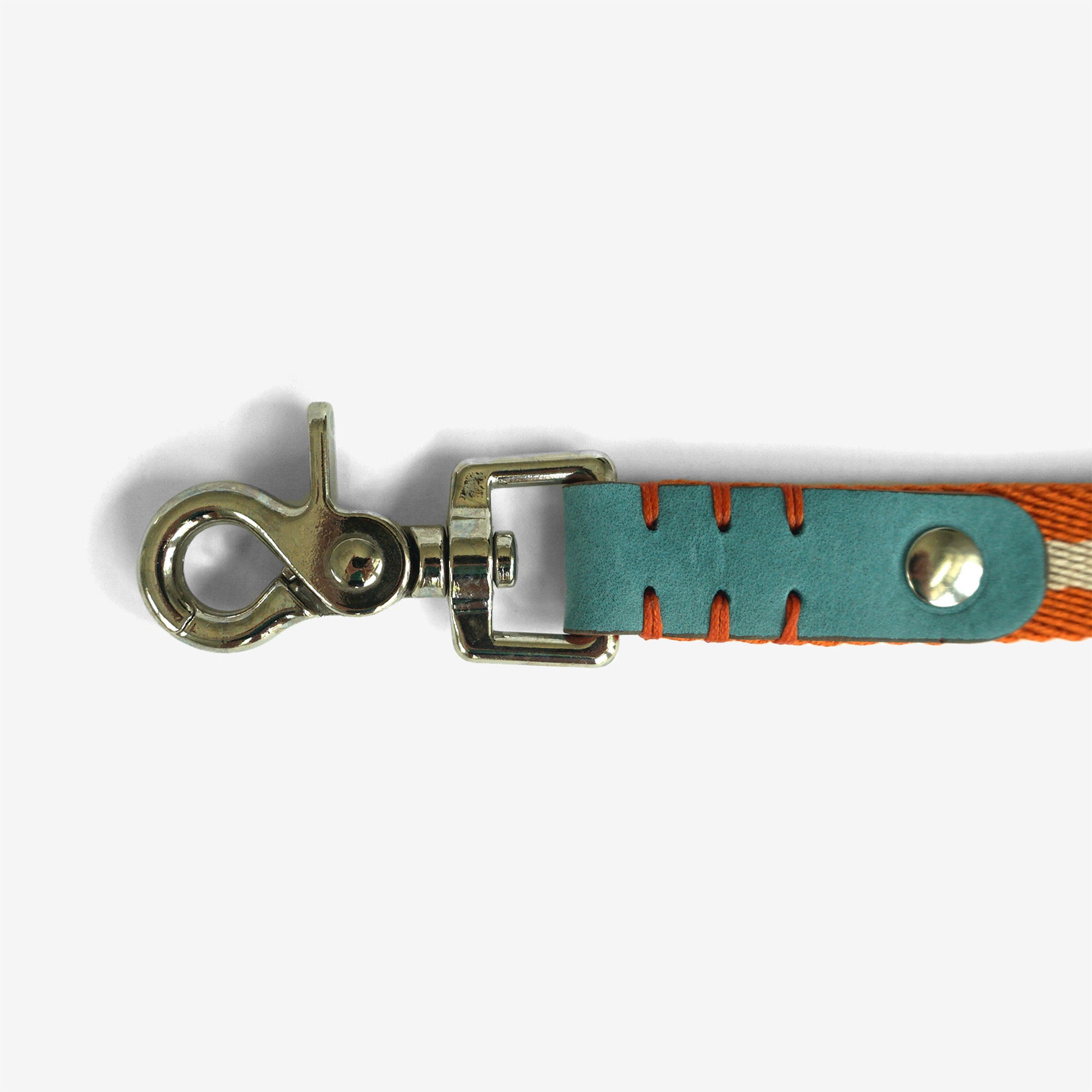 Nubuck Celestial Leash